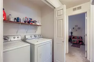 21488 Randolph Pl, Denver, CO 80249 - Photo 15