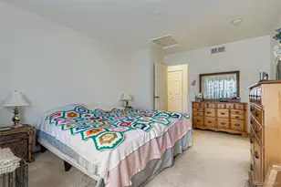 21488 Randolph Pl, Denver, CO 80249 - Photo 19