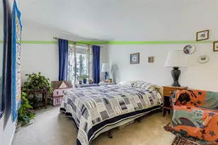 21488 Randolph Pl, Denver, CO 80249 - Photo 23