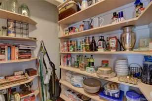 30481 National Forest Dr, Buena Vista, CO 81211 - Photo 19