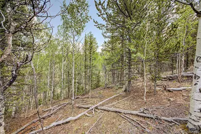 360 Palomino Drive, Jefferson, CO 80456 - Photo 11