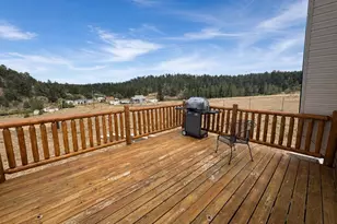 15 Dogie Trail, Florissant, CO 80816 - Photo 3