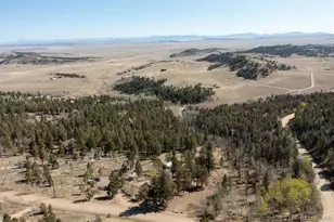 447 Blacksmith Rd, Hartsel, CO 80449 - Photo 45