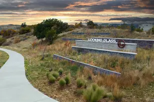 13790 Daffodil Way, Parker, CO 80134 - Photo 29