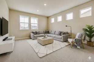 13790 Daffodil Way, Parker, CO 80134 - Photo 13