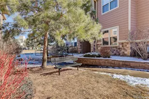 10841 Twenty Mile Road, Parker, CO 80134 - Photo 37