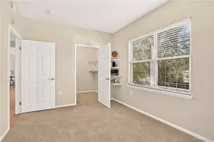 10841 Twenty Mile Road, Parker, CO 80134 - Photo 27