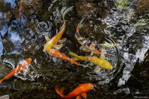 1950 S Milwaukee St, Denver, CO 80210 - Photo 21