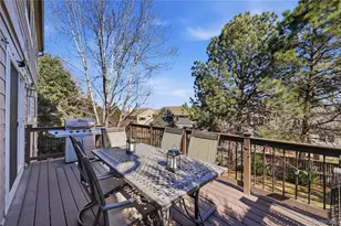 9264 Madras Ct, Highlands Ranch, CO 80130 - Photo 33