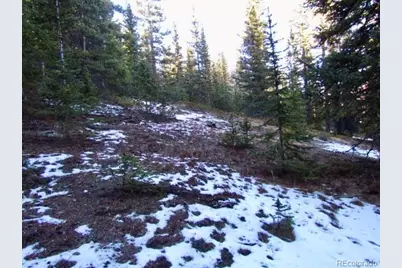 633 Valley Of The Sun Drive, Fairplay, CO 80440 - Photo 19