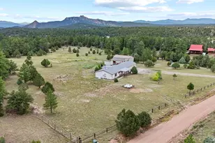 763 15th Trail, Cotopaxi, CO 81223 - Photo 41