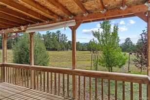 763 15th Trail, Cotopaxi, CO 81223 - Photo 31