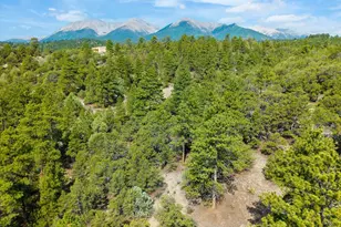13000 Co Rd 251, Salida, CO 81201 - Photo 37