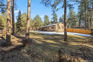 607 W Lovell Gulch, Woodland Park, CO 80863 - Photo 5