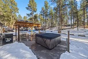 607 W Lovell Gulch, Woodland Park, CO 80863 - Photo 29