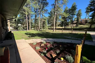 607 W Lovell Gulch, Woodland Park, CO 80863 - Photo 39