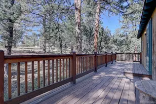 1999 Roland Dr, Bailey, CO 80421 - Photo 7