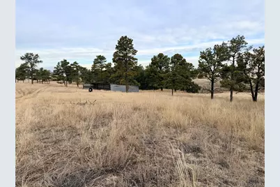 06 County Road 122, Ramah, CO 80832 - Photo 9