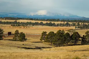 06 County Road 122, Ramah, CO 80832 - Photo 1