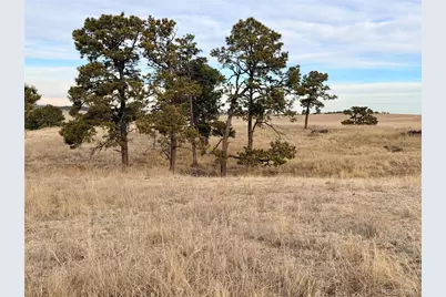 06 County Road 122, Ramah, CO 80832 - Photo 3