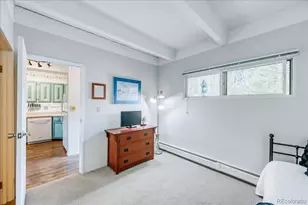200 Granite St, Frisco, CO 80443 - Photo 19