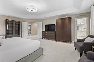 4133 Zodiac Pl, Castle Rock, CO 80109 - Photo 27
