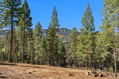 30854 Forest Shadow Trail, Conifer, CO 80433 - Photo 5