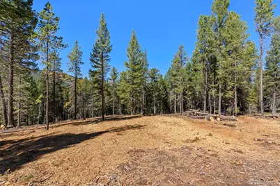 30854 Forest Shadow Trail, Conifer, CO 80433 - Photo 3