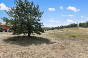 272 Spring Valley Trail, Florissant, CO 80816 - Photo 33