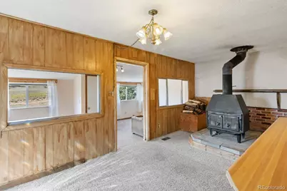 272 Spring Valley Trail, Florissant, CO 80816 - Photo 9