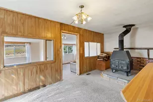 272 Spring Valley Trail, Florissant, CO 80816 - Photo 9