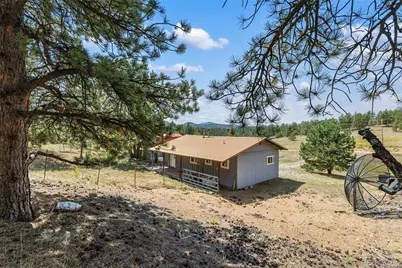272 Spring Valley Trail, Florissant, CO 80816 - Photo 3