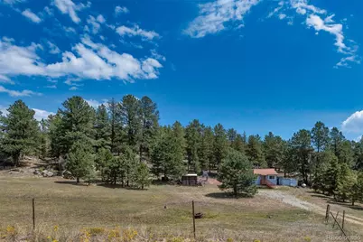 272 Spring Valley Trail, Florissant, CO 80816 - Photo 35