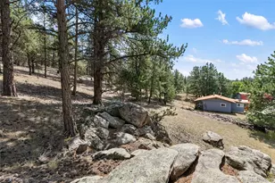 272 Spring Valley Trail, Florissant, CO 80816 - Photo 29