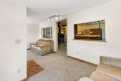 272 Spring Valley Trail, Florissant, CO 80816 - Photo 7