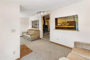 272 Spring Valley Trail, Florissant, CO 80816 - Photo 7