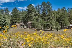 272 Spring Valley Trail, Florissant, CO 80816 - Photo 37