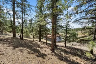 272 Spring Valley Trail, Florissant, CO 80816 - Photo 31