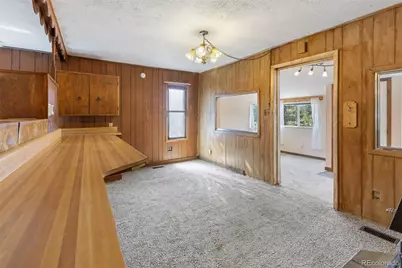 272 Spring Valley Trail, Florissant, CO 80816 - Photo 11