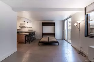 830 N Sherman Street, Denver, CO 80203 - Photo 13