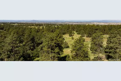 10348 Pine Song Place, Parker, CO 80138 - Photo 11