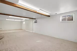 3217 S Stuart St, Denver, CO 80236 - Photo 19