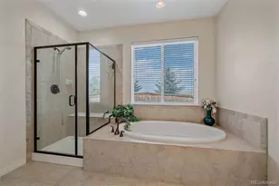 3217 Antelope Ridge Trail, Parker, CO 80138 - Photo 17