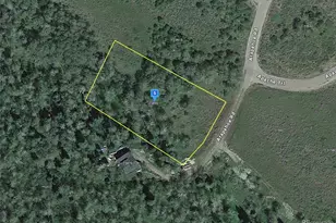 23895 Arapahoe Rd, Oak Creek, CO 80467 - Photo 1