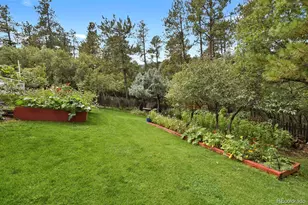 4693 Cheyenne Dr, Larkspur, CO 80118 - Photo 29