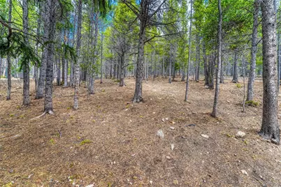 153 Nebraska Drive, Idaho Springs, CO 80452 - Photo 45