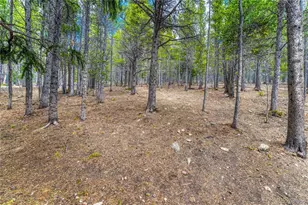 153 Nebraska Dr, Idaho Springs, CO 80452 - Photo 45