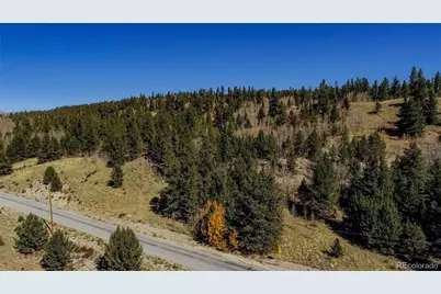 459 Platte River Drive, Fairplay, CO 80440 - Photo 39