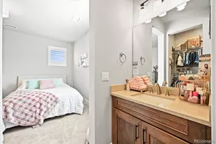 5411 Edenborn Wy, Castle Rock, CO 80104 - Photo 39