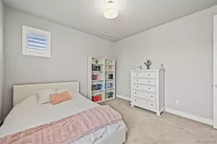 5411 Edenborn Wy, Castle Rock, CO 80104 - Photo 31